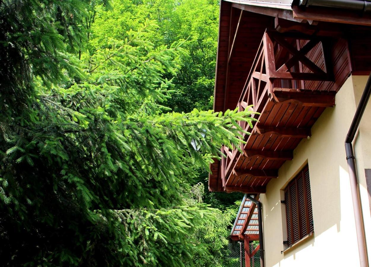 Zawoja Chaty Gorskie D4 Dış mekan fotoğraf