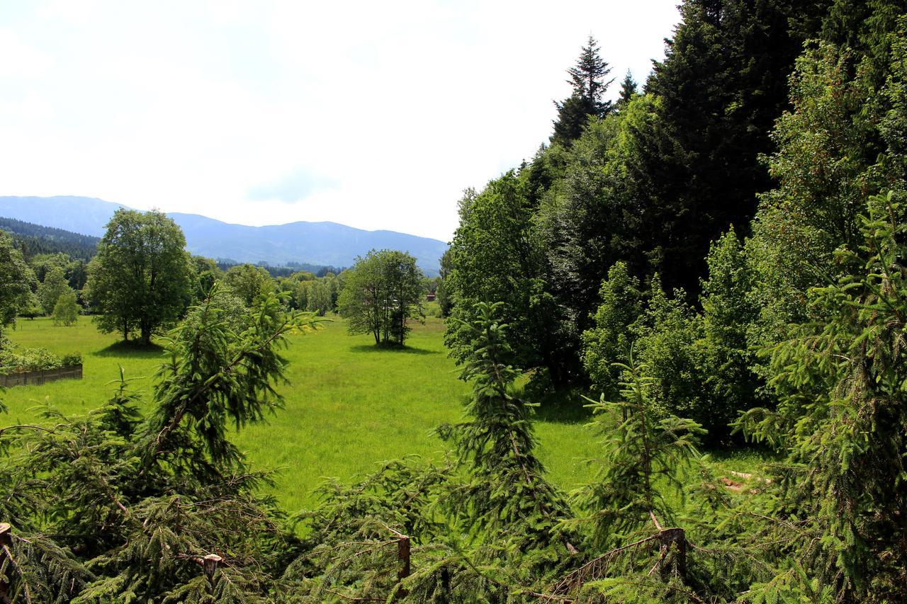 Zawoja Chaty Gorskie D4 Dış mekan fotoğraf